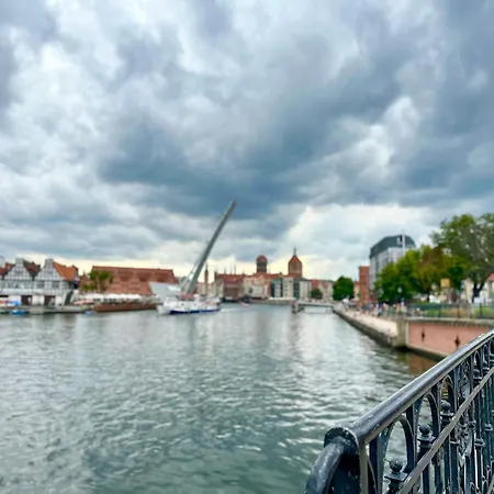 Mmrent Rose * Gdansk